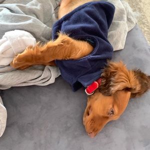 Meet your Posher, Bethany